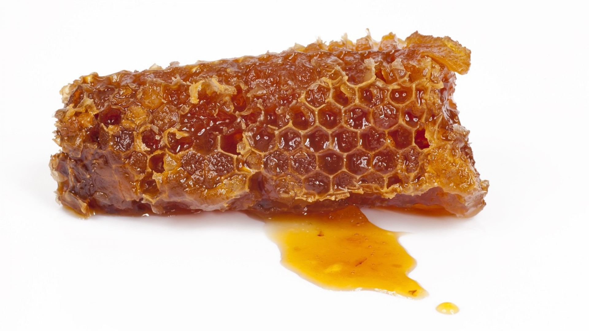 Une propolis : Tout ce qu’il faut savoir