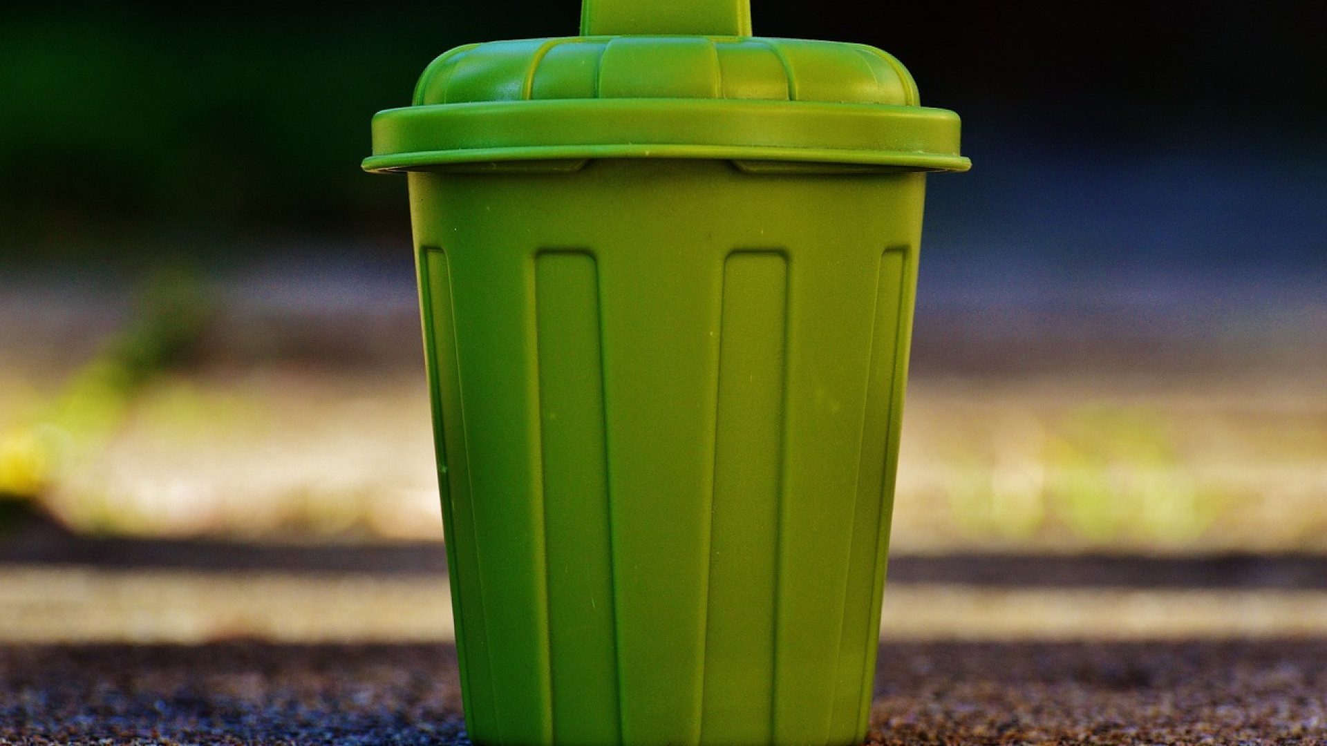 Rencontre avec le tri sélectif : comment simplifier cette pratique à la maison